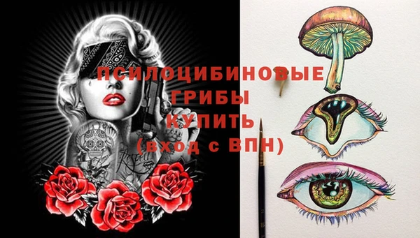 ПСИЛОЦИБИНОВЫЕ ГРИБЫ Балахна